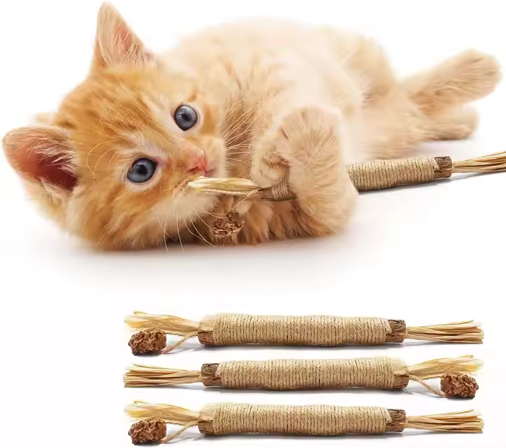 Katzen Mundhygiene Kausticks