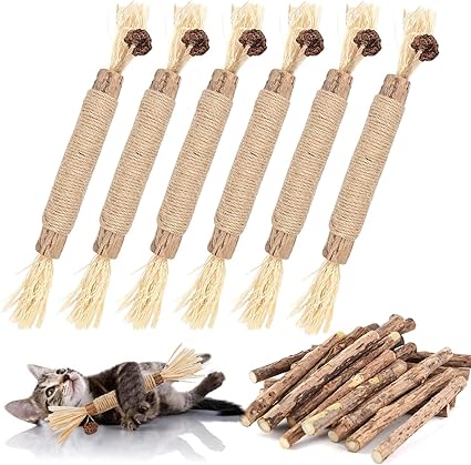 Katzen Mundhygiene Kausticks