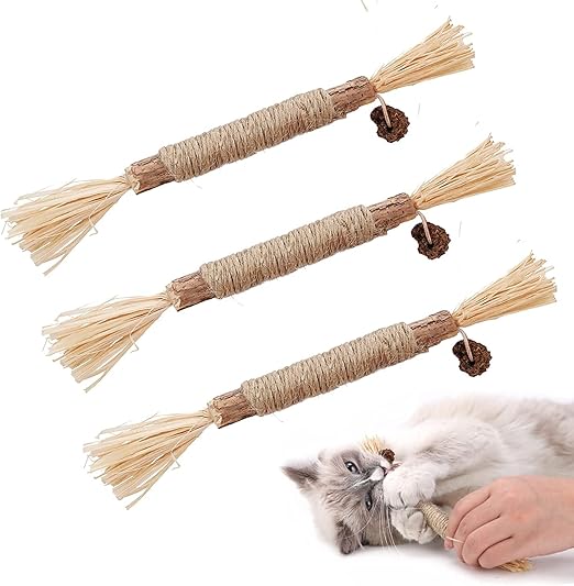 Katzen Mundhygiene Kausticks