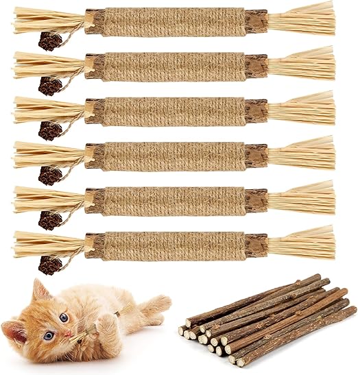 Katzen Mundhygiene Kausticks