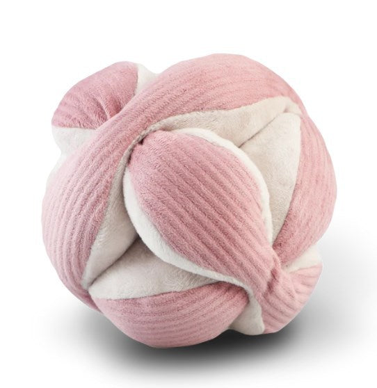 Hunde Schnüffelball